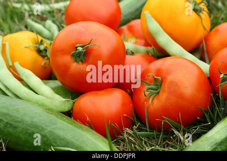 a pile of fresh picked vegetables is lying outside in the grass on a summer day Stock Photo