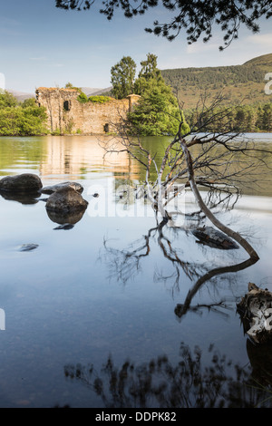 Castle ruins at Loch an Eilein at Rothiemurchus at Aviemore in Scotland. Stock Photo