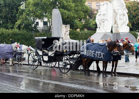 horse drawn carriage traditional fiaker Rides in Vienna Austria Stock Photo