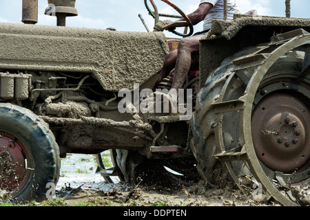 Indian man ploughing a rice paddy field with a tractor. Andhra Pradesh, India Stock Photo