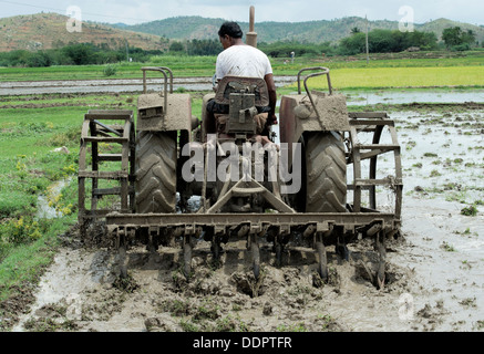 Indian man ploughing a rice paddy field with a tractor. Andhra Pradesh, India Stock Photo