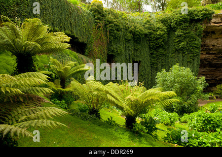 Umpherston Sinkhole, Mt Gambier, South Australia, Australia Stock Photo