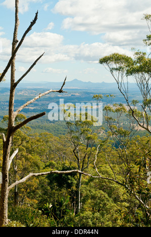 View from the Knoll, Mt Tamborine, Queensland, Australia Stock Photo