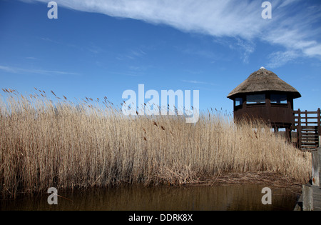 Hickling Broad nature reserve Norfolk,UK. An observation tower with steps is used for bird & wildlife watching Stock Photo