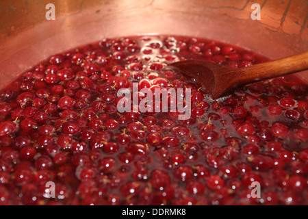 Red Gooseberries in a copper preserving pan ready for making jam Stock Photo