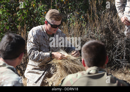 Marines with Scout Sniper Platoon, 1st Battalion, 7th Marine Regiment ...