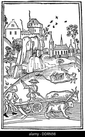 agriculture, agricultural work, plowing, bear and ox in the yoke, episode from the life of Saint Lucius of Chur, woodcut, 'Swabian Chronicle' of Thomas Lirer, printed by Konrad Dinckmut, Ulm, 1485, Additional-Rights-Clearences-Not Available Stock Photo