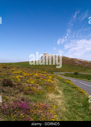 Haytor Rocks Dartmoor Devon UK Stock Photo