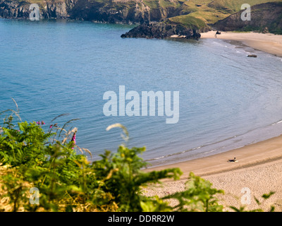 Whistling Sands (Porth Oer) beach, Lleyn Peninsula ,North Wales Stock Photo