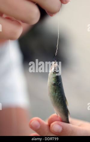 Little fish caught on hook in the arms Stock Photo