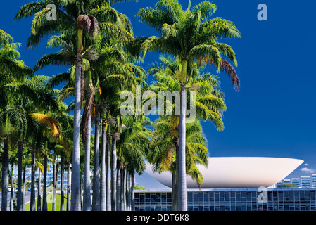 Brazil, Brasilia: Palm trees and back side view of National Congress building Stock Photo