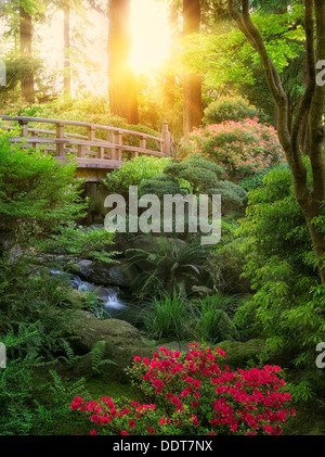 Bridge, stream and blooming Rhododendron. Portland Japanese Garden, Oregon Stock Photo