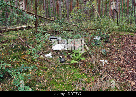 Wild dump in the forest dirt Stock Photo - Alamy