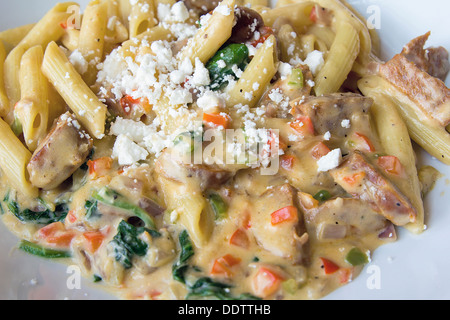 Roasted Garlic Chicken Penne Pasta with Roma Tomato and Cream Sauce Closeup Stock Photo