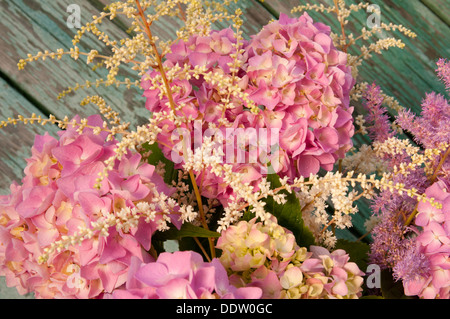 pink hydrangea and astilbe floral fragment close up Stock Photo