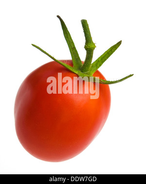 Isolated photo of tomato on white clear background Stock Photo