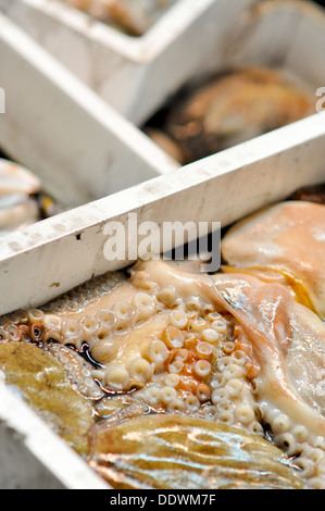 Fish for sale at the Osaka Municipal Central Wholesale Market in Japan. Stock Photo