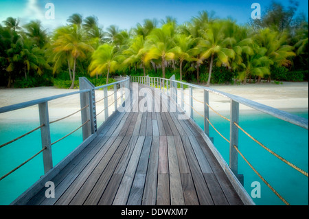 Boardwalk into palm trees blowing in the wind. French Polynesia Stock Photo