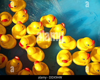 rubber ducks in a children's pool Stock Photo