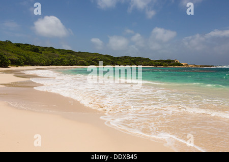 Beautiful Golden Sandy Beach at Half Moon Bay Antigua in the Sunshine Stock Photo