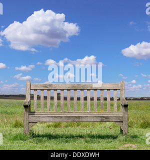 A Wooden Park Bench with Grass and Blue Sky Stock Photo