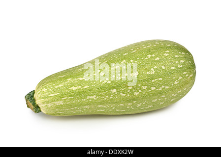 Marrow Vegetable, Vegetable Marrow, Marrow Squash Stock Photo