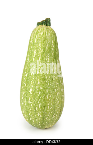 Marrow Vegetable, Vegetable Marrow, Marrow Squash Stock Photo