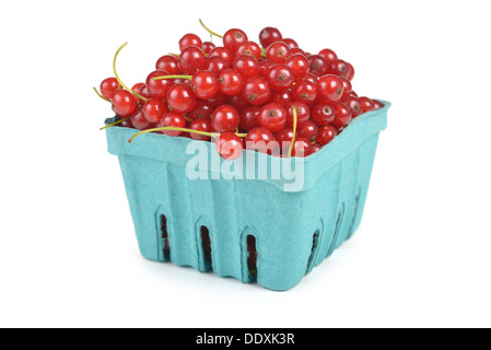 Red Currants, Redcurrants Stock Photo