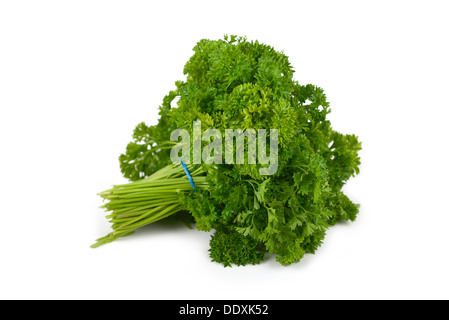 Parsley, Curly, Bunch Stock Photo