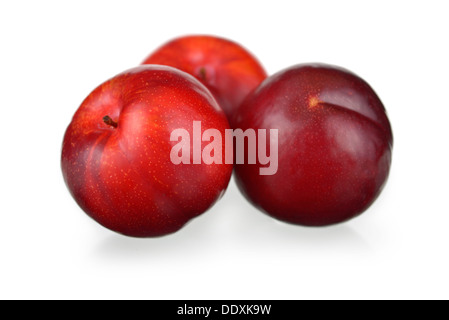 Plums, Plum, Whole Red Plums Stock Photo