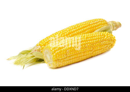 Ear of corn isolated on a white background Stock Photo