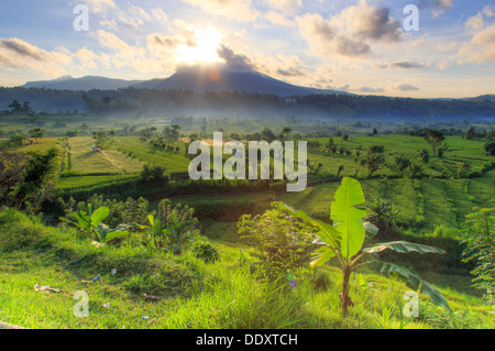 Indonesia, Bali, Tirta Gangga, Rice Terraces with Gunung Lempuyang and Gunung Seraya in the background Stock Photo