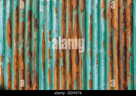Rusty, green-painted corrugated iron wall Stock Photo
