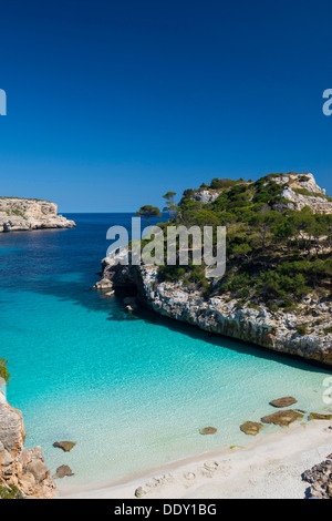 Bay with a sandy beach and pine trees Stock Photo