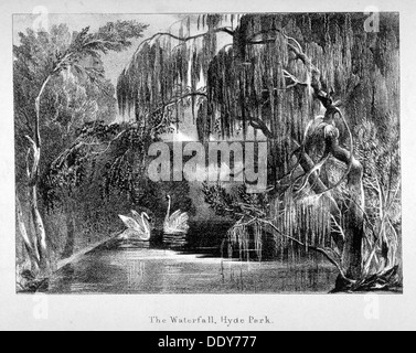 View of a waterfall and two swans in Hyde Park, London, c1820.                                       Artist: Anon Stock Photo