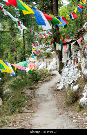 Colorful Tibetan Buddhist prayer flags hanging in rows, Dharamsala, India, Asia Stock Photo