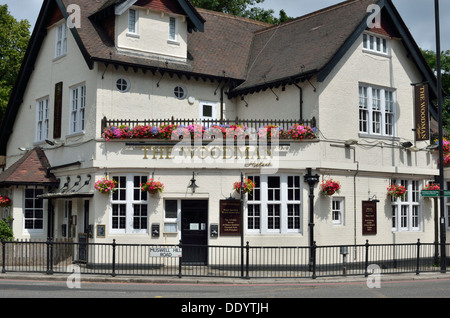 The Woodman pub in Highgate, London, UK. Stock Photo