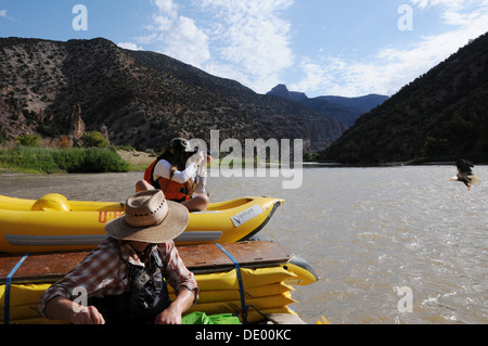 Young girl taking photo of bald headed eagle diving for fish while rafting the Green River in Dinosaur National Monument,  Utah Stock Photo