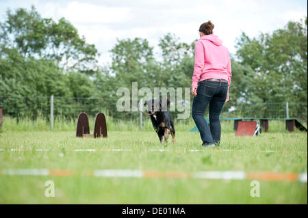 Woman longeing a mixed-breed dog Stock Photo