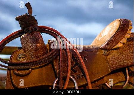 Close up of saddle, rope & tack on horse, Chaffee County Fair & Rodeo Stock Photo