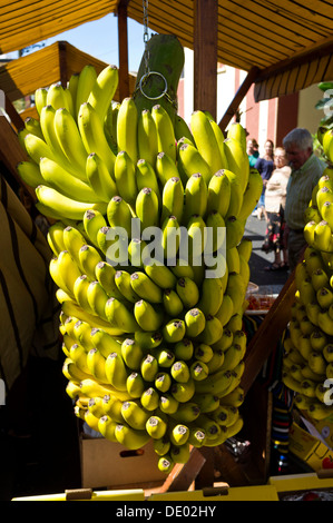 Canarian bananas hanging on a fruit and veg stall, Guia de Isora, Tenerife, Canary Islands, Spain Stock Photo