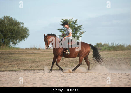 Woman riding a galloping Quarter Horse Stock Photo