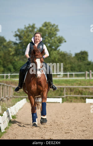 Woman riding a galloping Hanoverian horse Stock Photo