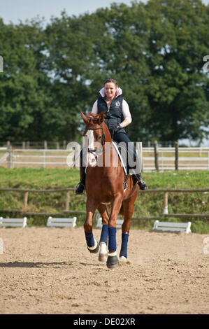 Woman riding a galloping Hanoverian horse Stock Photo