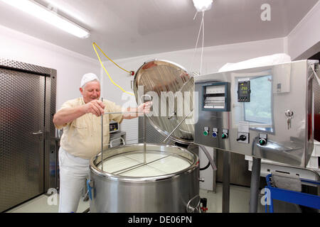 Cheesemaker during the production of goat cheese at the Goas-Alm cheese factory Stock Photo