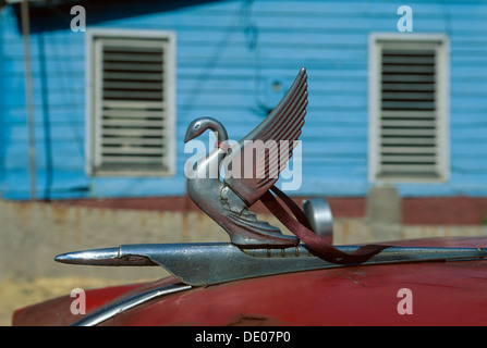 Swan hood ornament on the bonnet of a red Packard American car dating from the forties in front of a blue weatherboard house, Varadero, Cuba Stock Photo