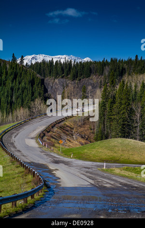 Car traveling an uphill turn with dramatic blue sky, white clouds, winding thru lush forest towards snow capped mountain Stock Photo