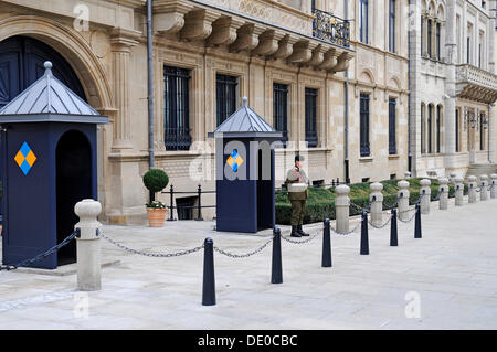 Palace Guard, Grand Ducal Palace, European Parliament, Chamber of Representatives, Luxembourg, Europe, PublicGround Stock Photo