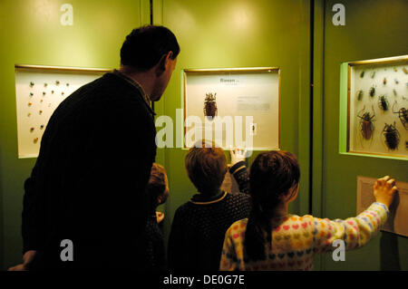 Father with children in the Insects exhibition in the Museum of Man and Nature, Munich, Upper Bavaria, Bavaria Stock Photo