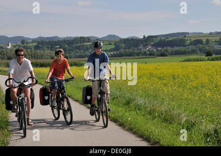 Three cyclists, mother with two children, 13 and 15 years, on the Danube cycle trail Passau - Vienna near Wallsee, Lower Austria Stock Photo